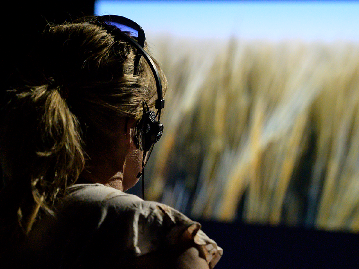 a person standing in front of a television